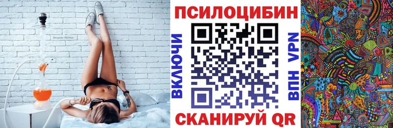 закладка  Серафимович  Галлюциногенные грибы Psilocybine cubensis 